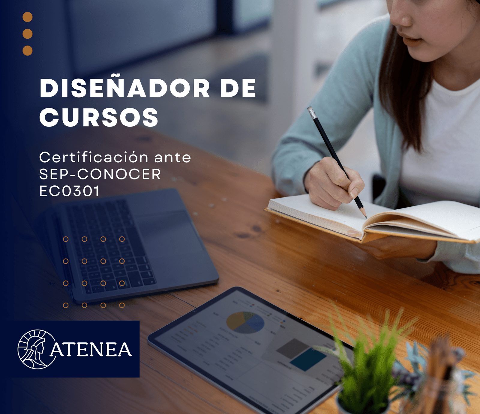 DisenadorDeCursosPic